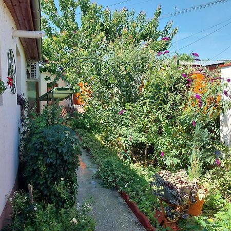 Villa Casa Calin Tulcea Exterior foto